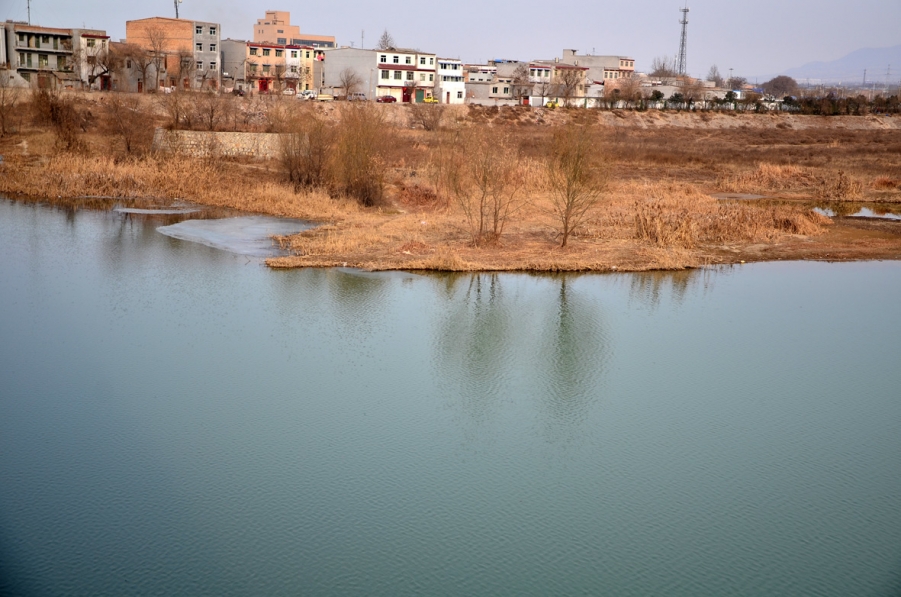 DSC_2549.JPG