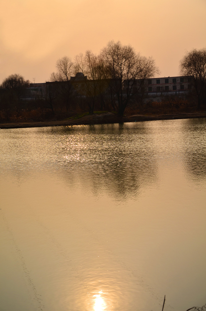 DSC_2672.JPG