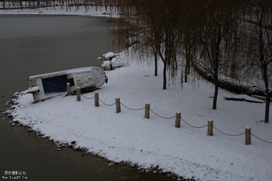 DSC01965.jpg
