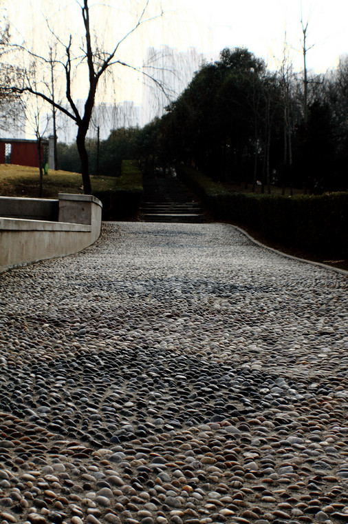 DPP_0044.jpg