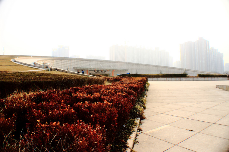 DPP_0094.jpg