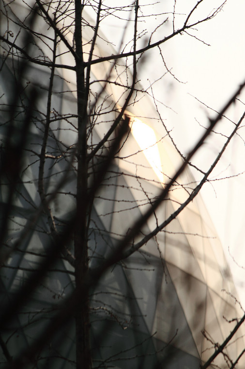 DPP_0016.jpg