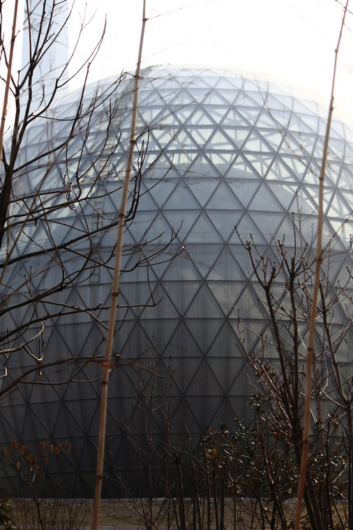 DPP_0020.jpg
