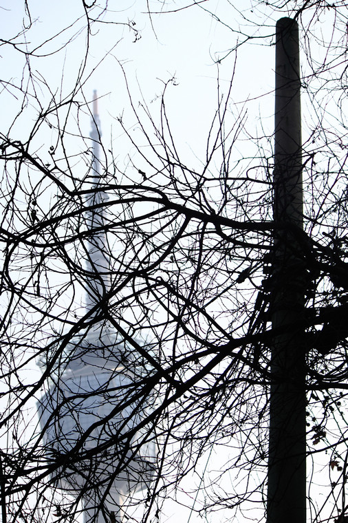 DPP_0027.jpg