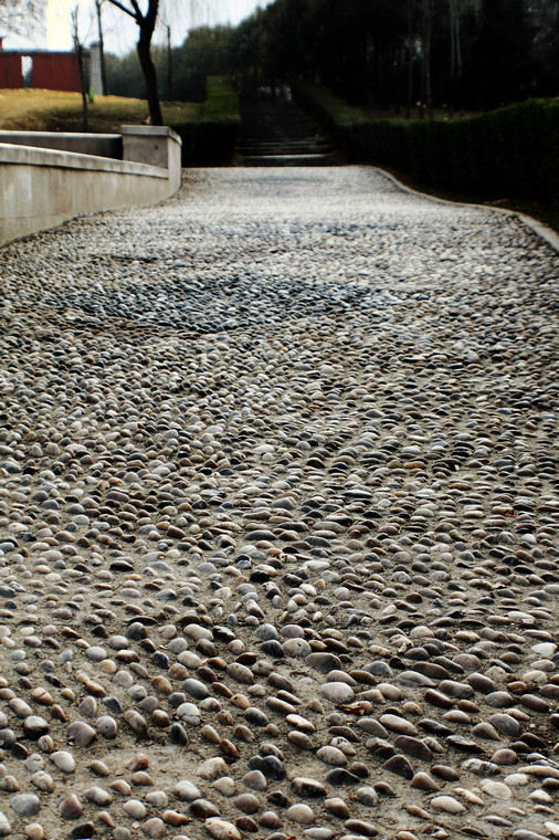 DPP_0043.jpg