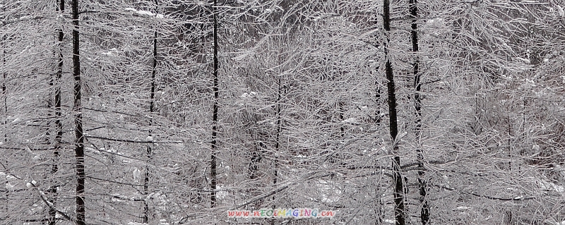DSC_0056.jpg