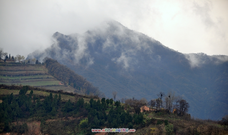 DSC_0305.jpg