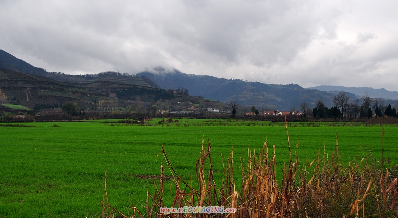DSC_0315.jpg