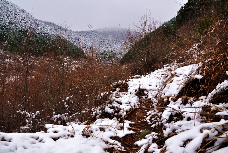 DSC_0608.jpg