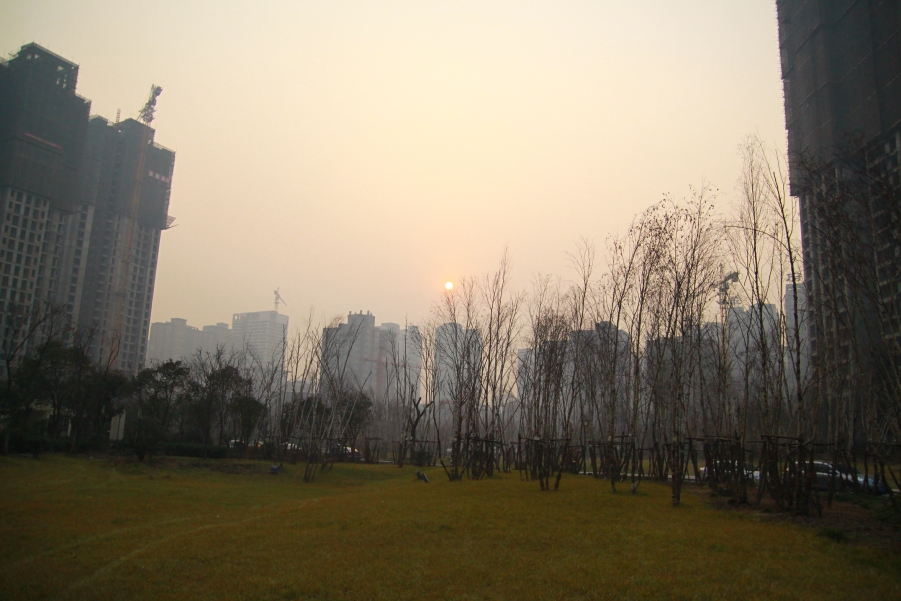 IMG_7674.JPG
