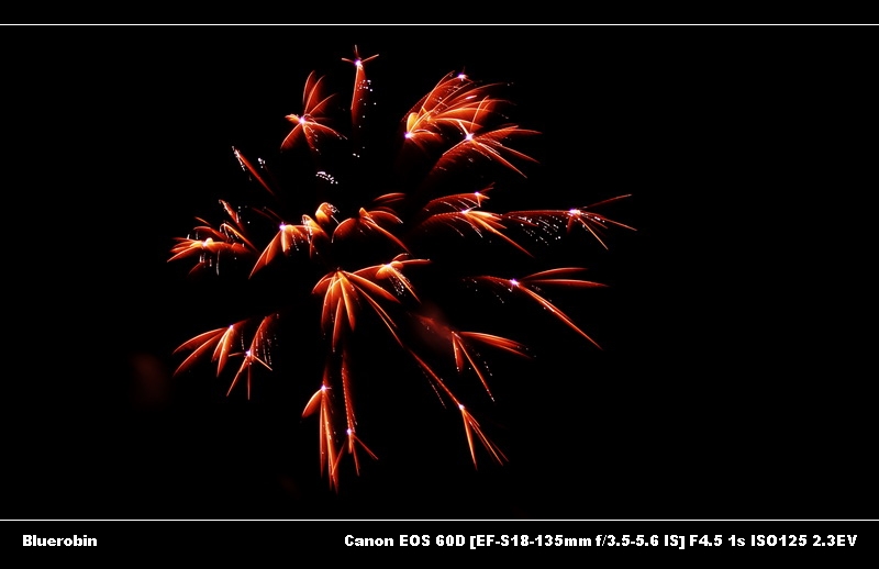 IMG_2205.JPG