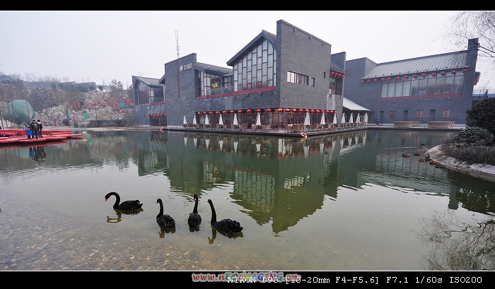 DSC_0761.jpg