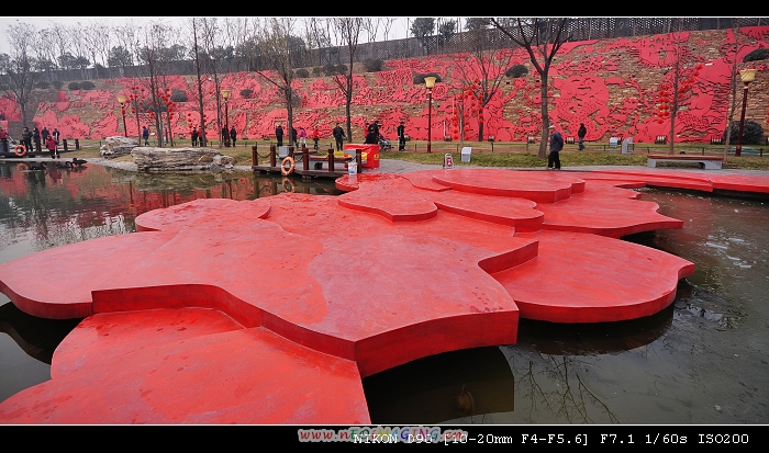 DSC_0764.jpg