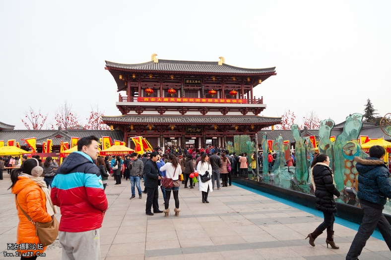 20120207-70.jpg