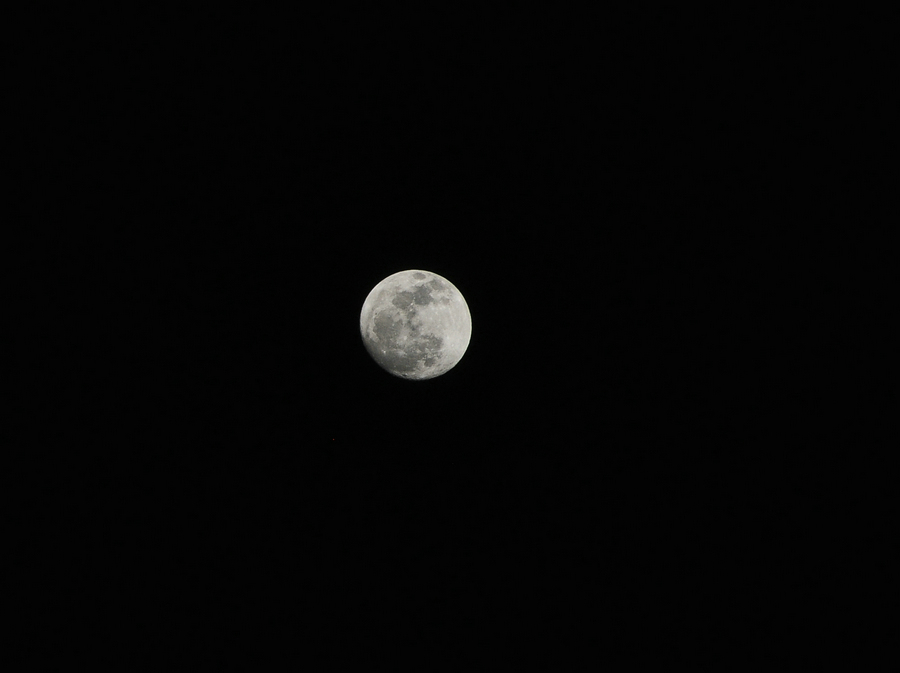 DSC_8544.jpg