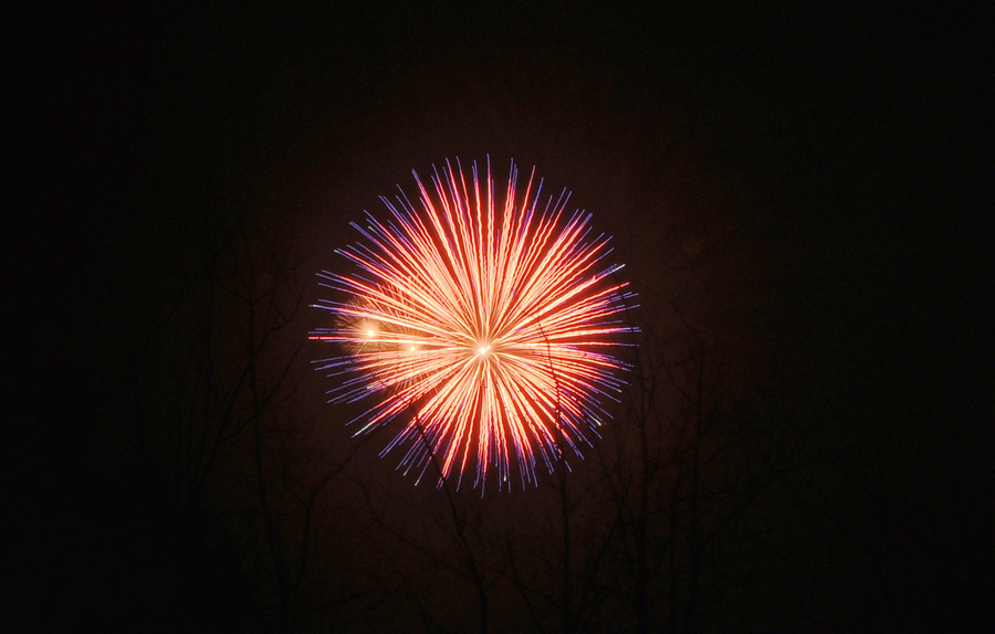 DSC_8650.jpg