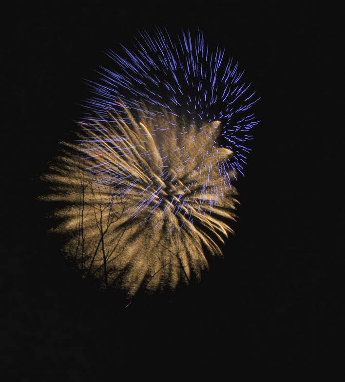 DSC_8768.jpg