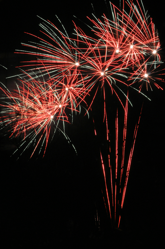 DSC_8865.jpg