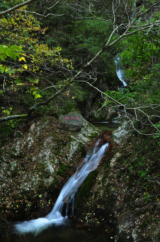 牛背梁 331.jpg