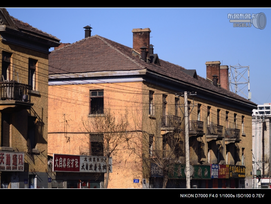 DSC_2482.jpg