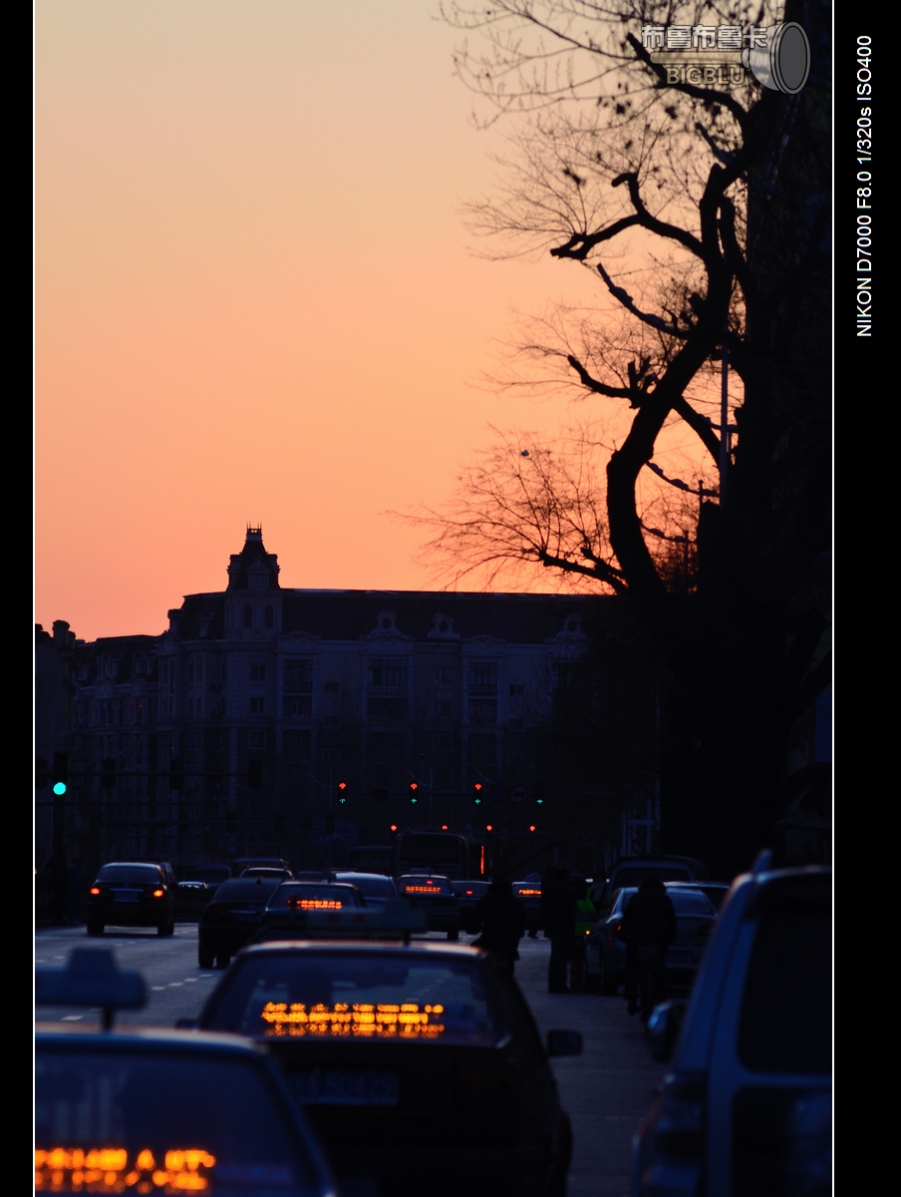 DSC_2802.jpg