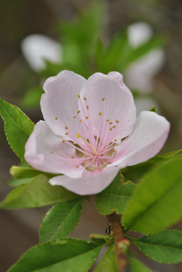 DSC_2044.JPG