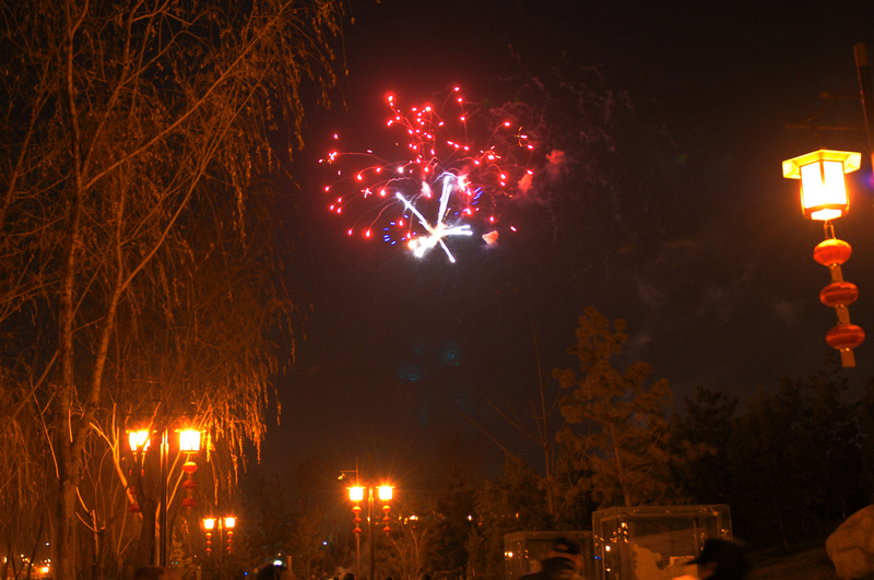 DSC_6896.jpg