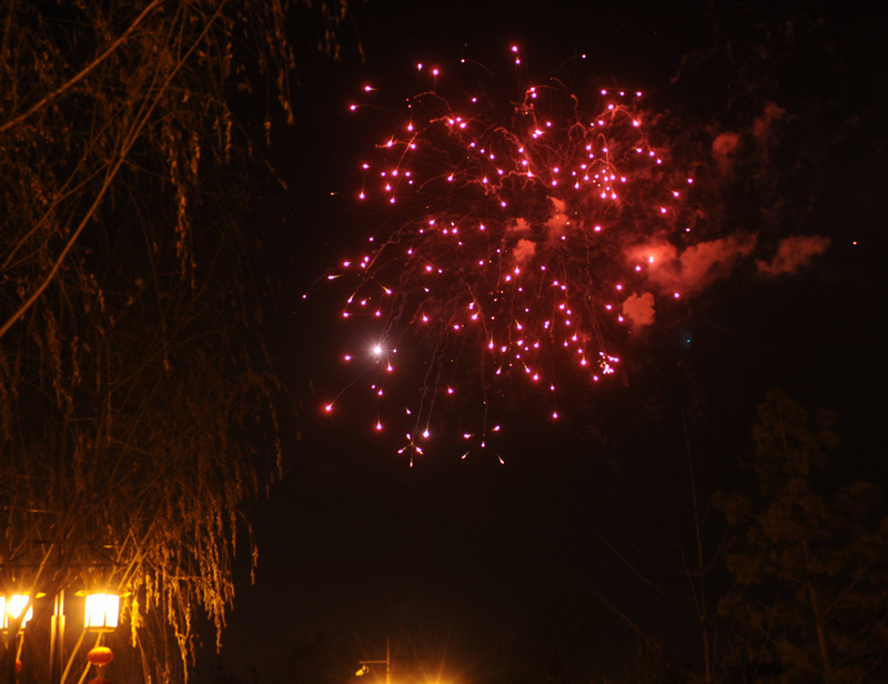 DSC_6898.jpg