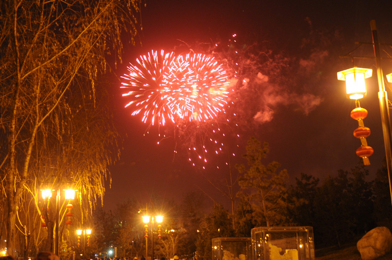 DSC_6900.jpg