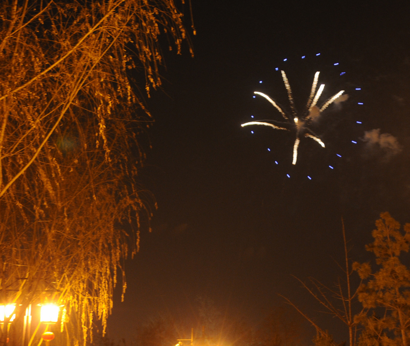 DSC_6910.jpg