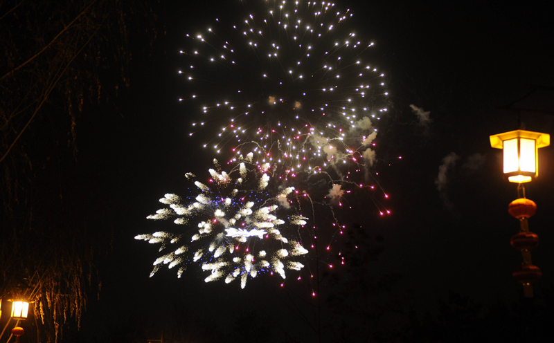 DSC_6917.jpg