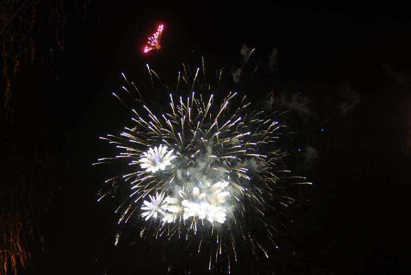 DSC_6922.jpg