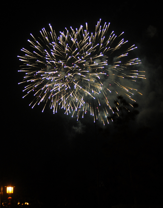DSC_6929.jpg