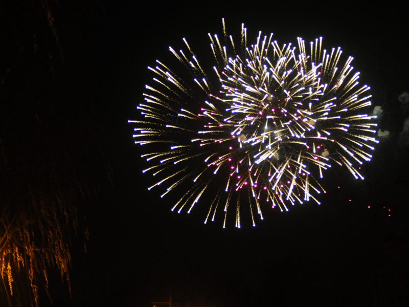 DSC_6932.jpg