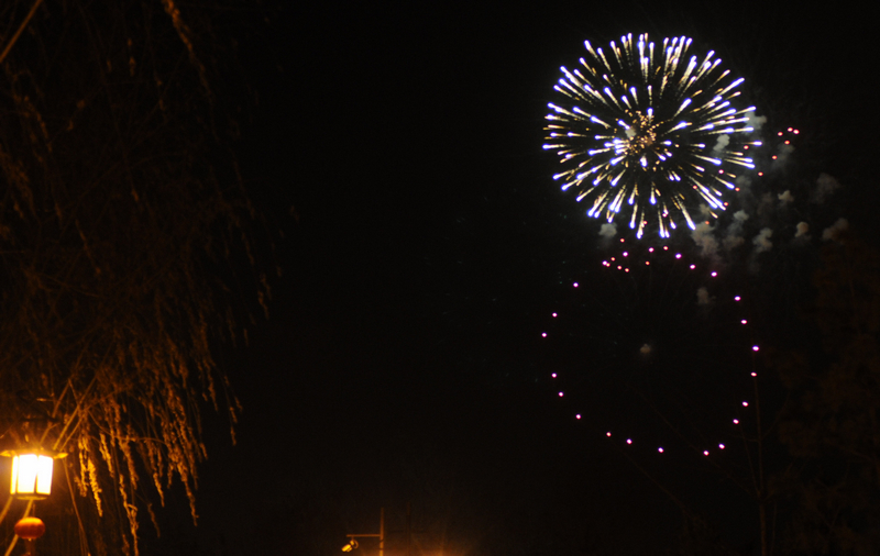DSC_6936.jpg