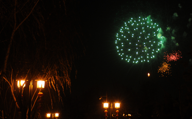 DSC_6941.jpg