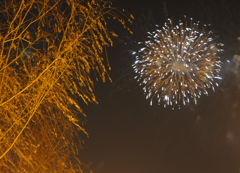 DSC_6948.jpg