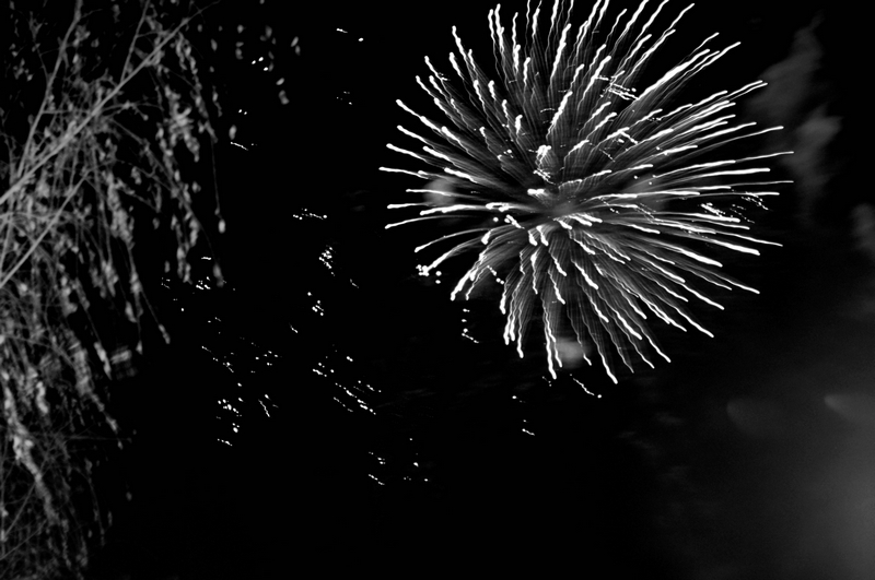 DSC_6952.jpg