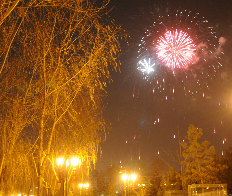 DSC_6955.jpg