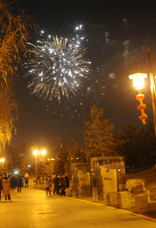 DSC_6960.jpg