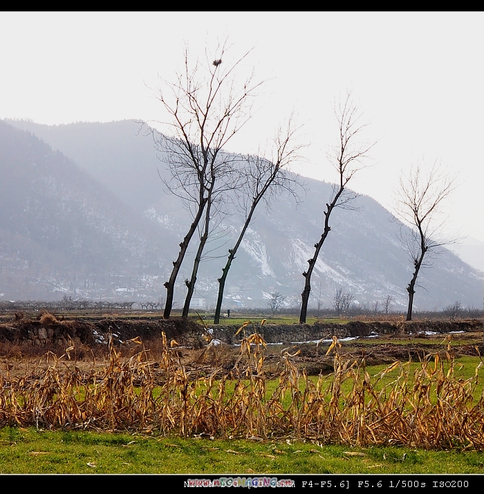 DSC_0354.jpg