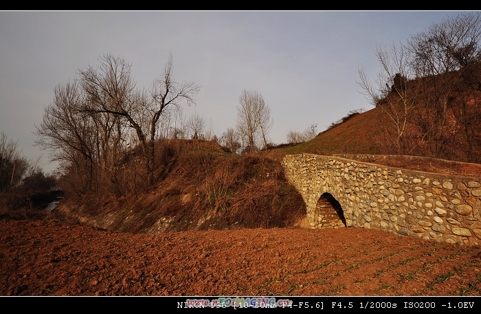 DSC_0360.jpg