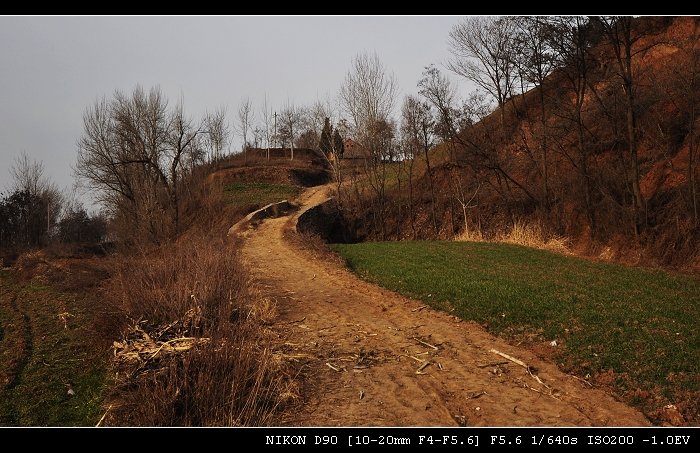 DSC_0371.jpg