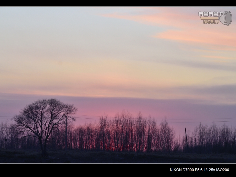 DSC_3178.jpg