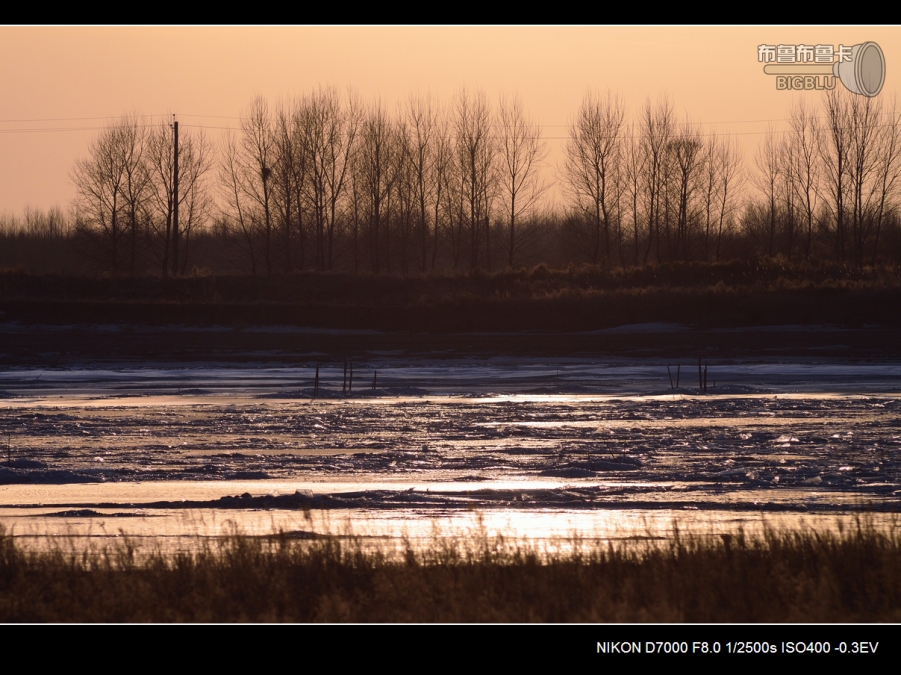 DSC_3074.jpg