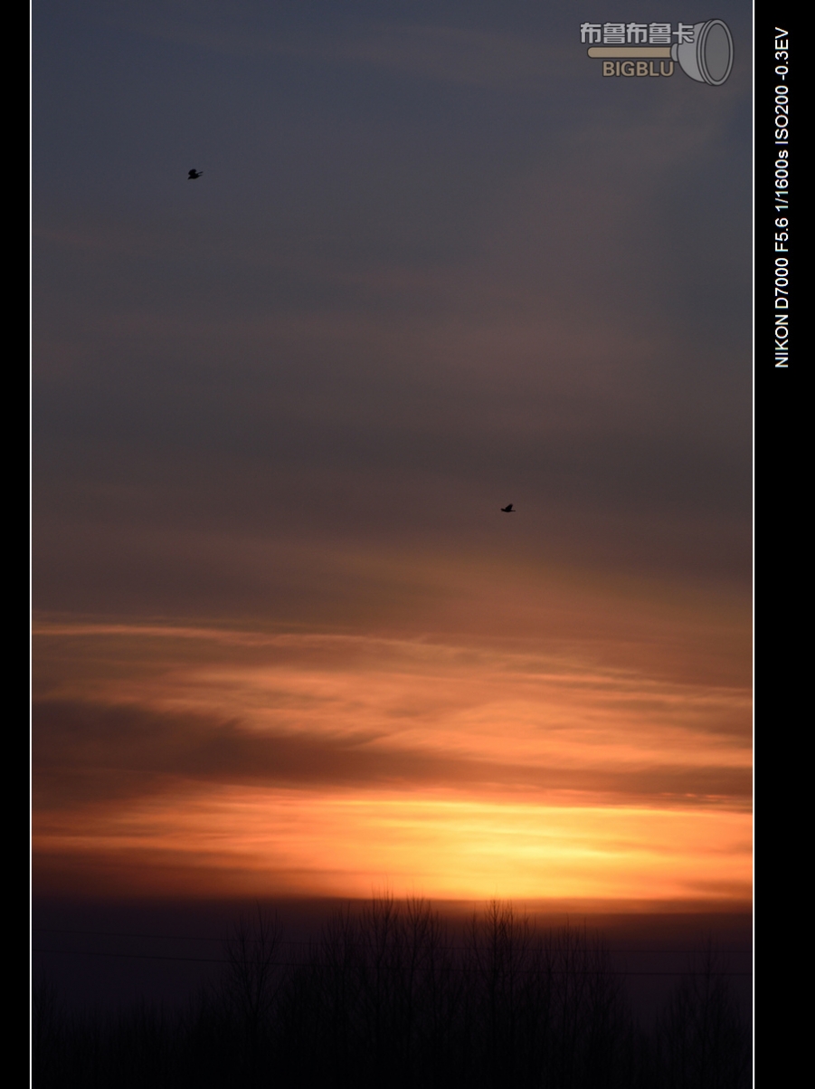 DSC_3140.jpg