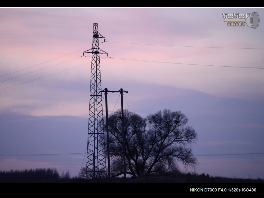 DSC_3161.jpg