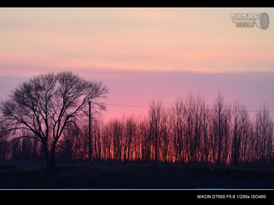 DSC_3170.jpg