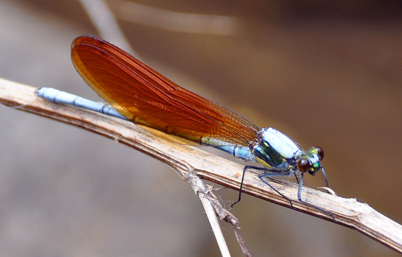 dsc_0895_副本.jpg