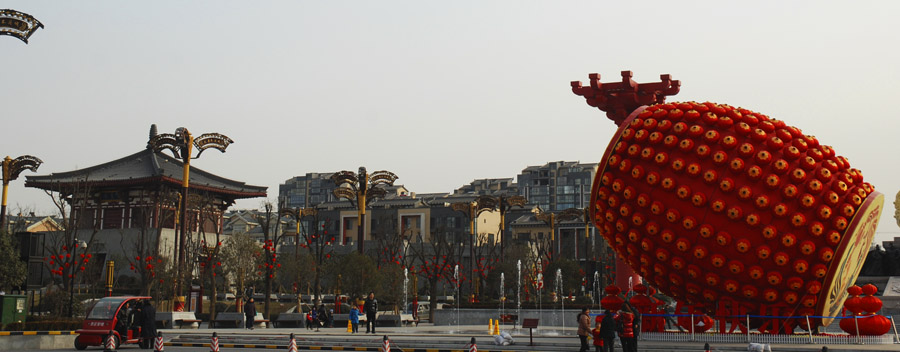 DSC_0174a.jpg